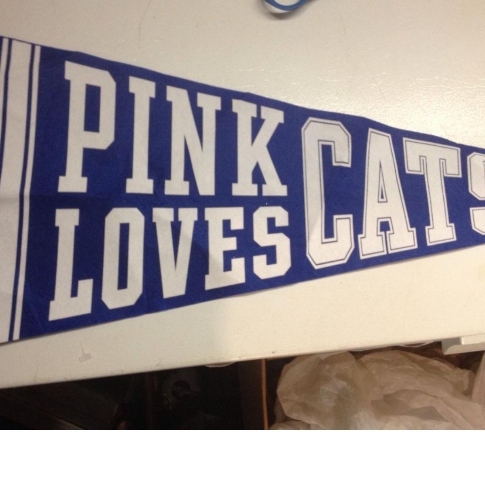 I DONT HAVE THESE IM LOOKING FOR THEM!